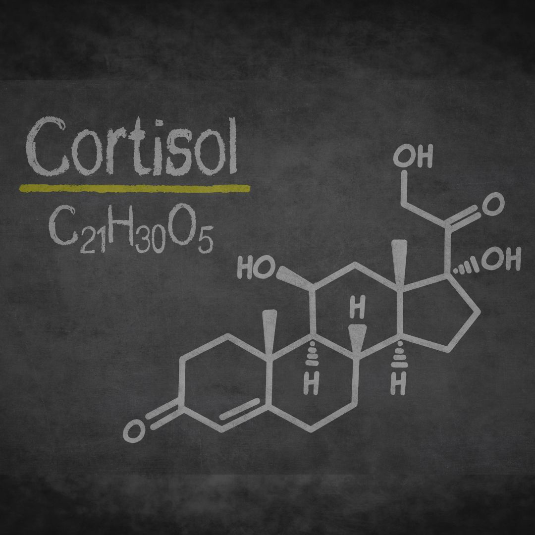 Cortisol chemical structure formula drawn on a chalkboard.